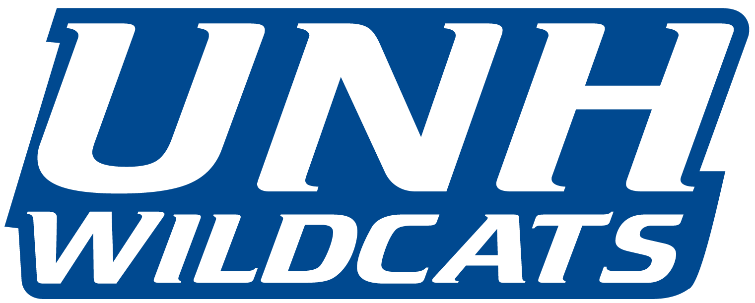 New Hampshire Wildcats 2000-Pres Wordmark Logo v5 DIY iron on transfer (heat transfer)